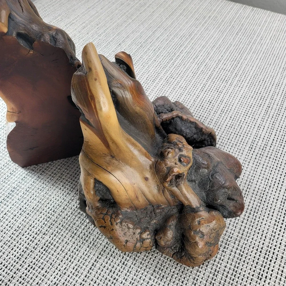 Rustic Natural Wood Burl Root‎ Bookends Pair Brown Organic Primitive Decor